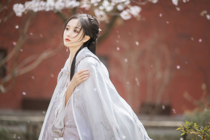 七武士 封面